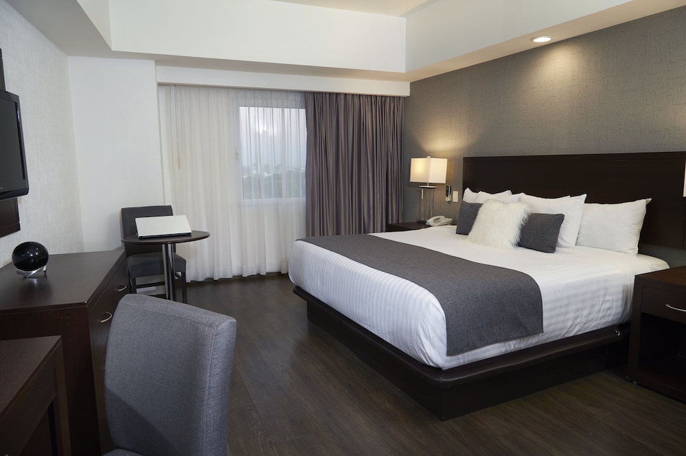 Hotel Ejecutivo Express 17/77