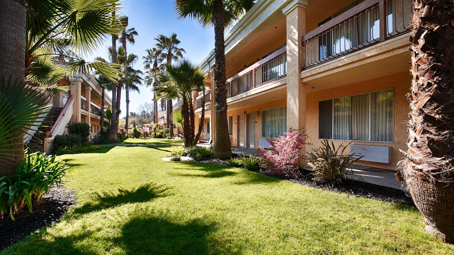 Best Western Palm Court Inn 14/17