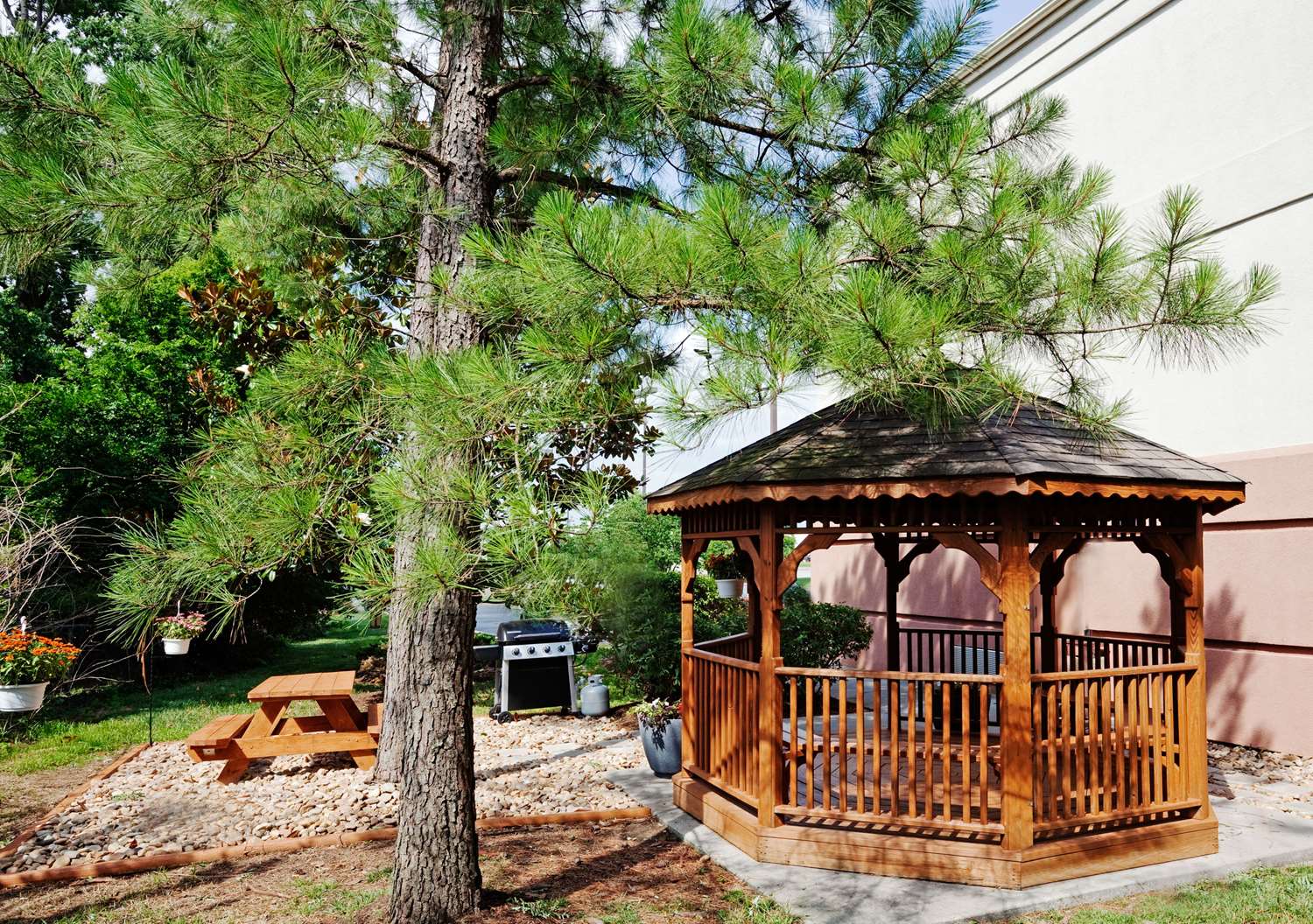 诺克斯维尔蜡木套房酒店(Sonesta Simply Suites Knoxville) 图片5