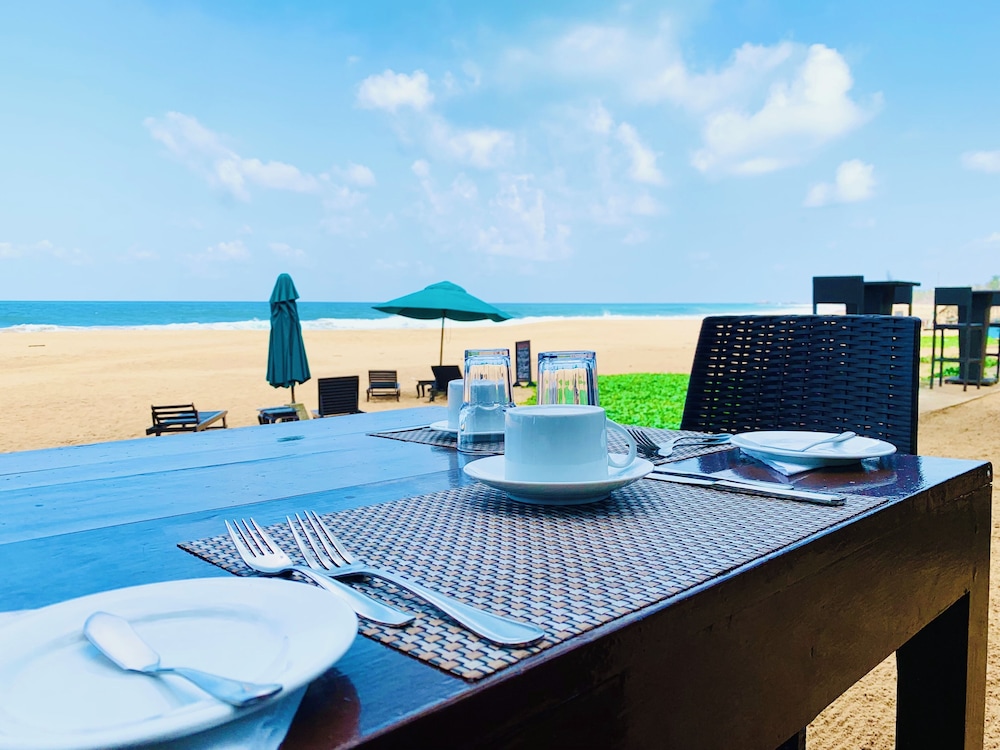 Suite Lanka 36/50