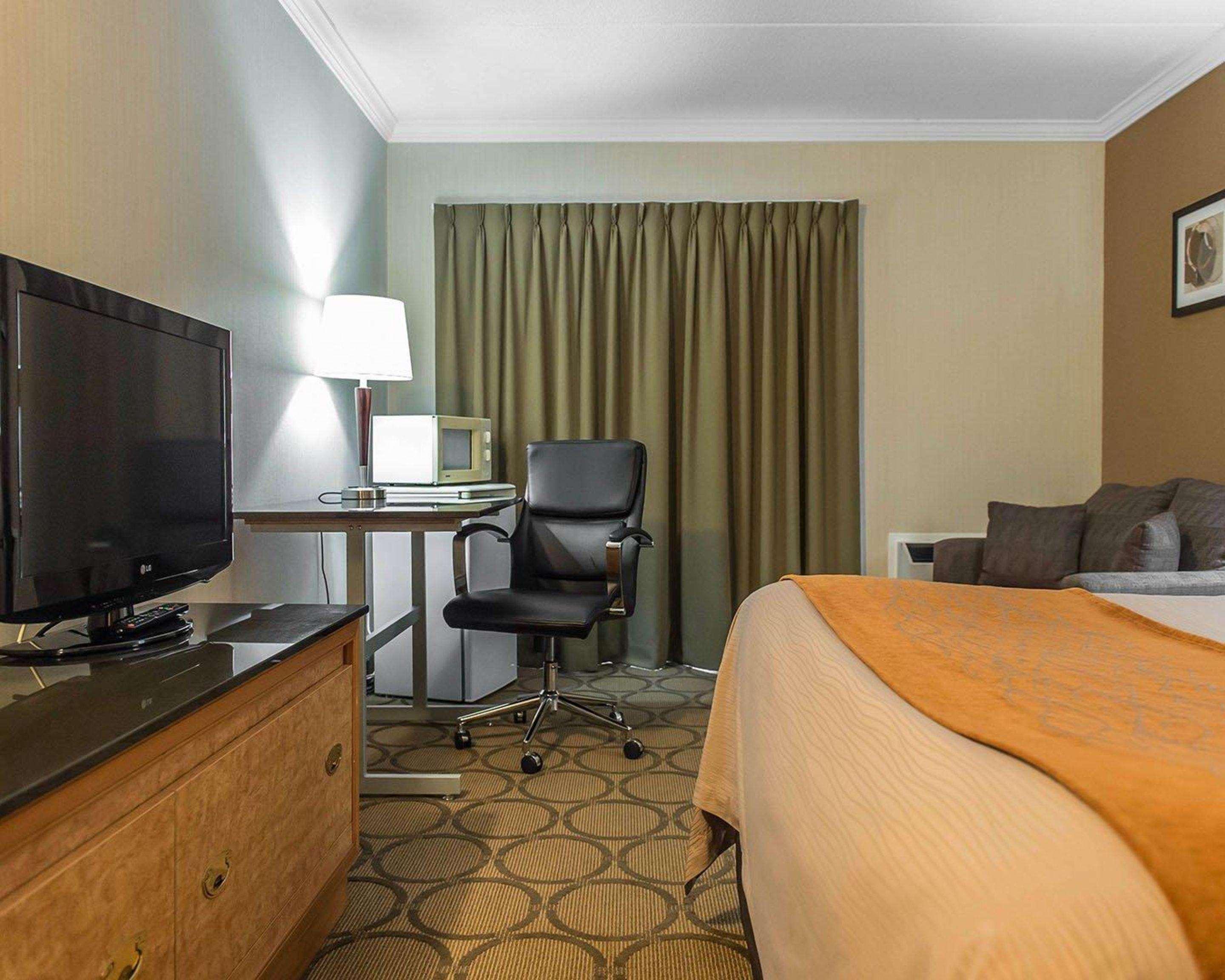 Suite, Queen Bed