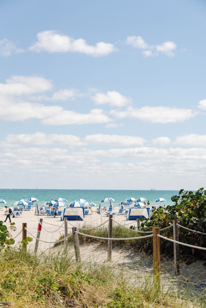 Mr. C Miami - Coconut Grove 42/49