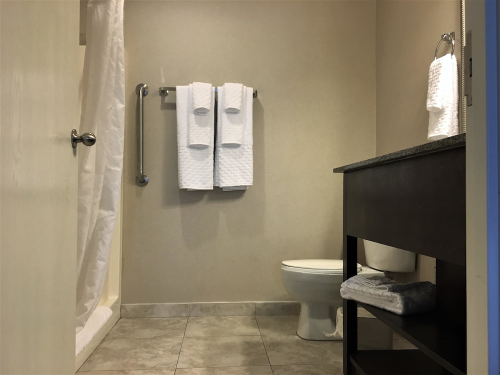 Best Western Plus Valdosta Hotel and Suites 30/41