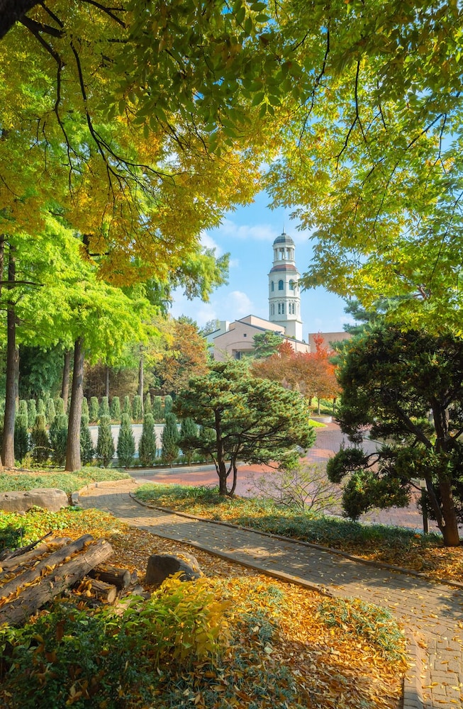 Mayfield Seoul 45/50