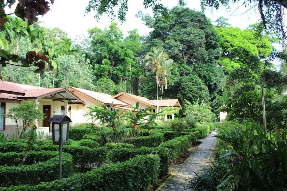 Ecolodge Bukit Lawang 53/58