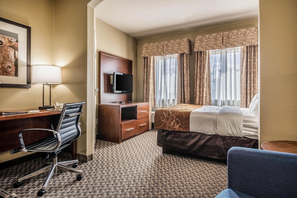 Comfort Suites Near Texas State University 22/32
