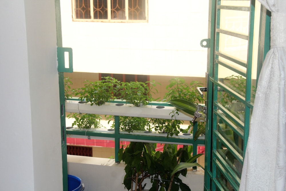 Winter Spring Homestay 4/50