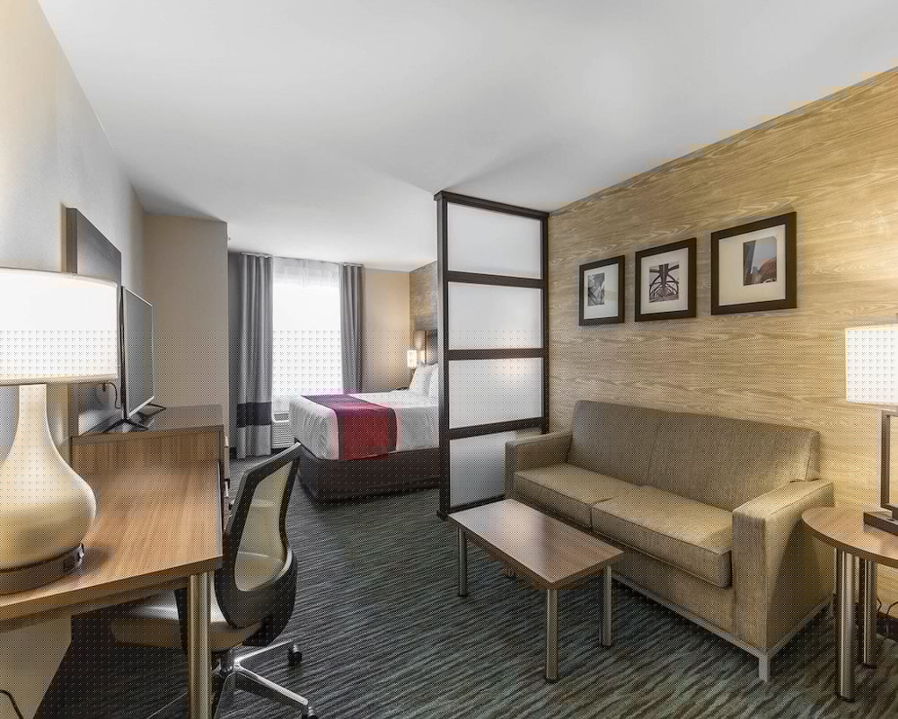 Comfort Inn & Suites Calgary Airport North 22/39