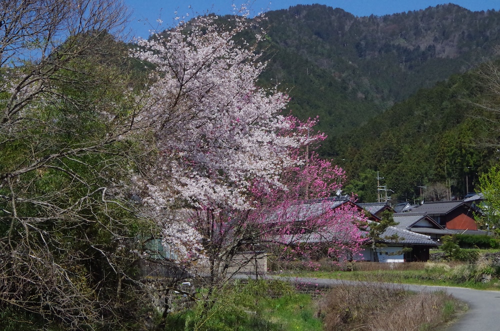 Ryoso Chatani 61/67