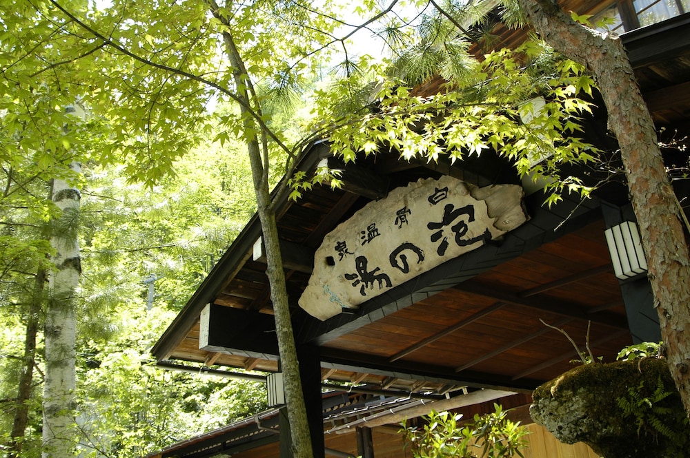 Awanoyu 3/65