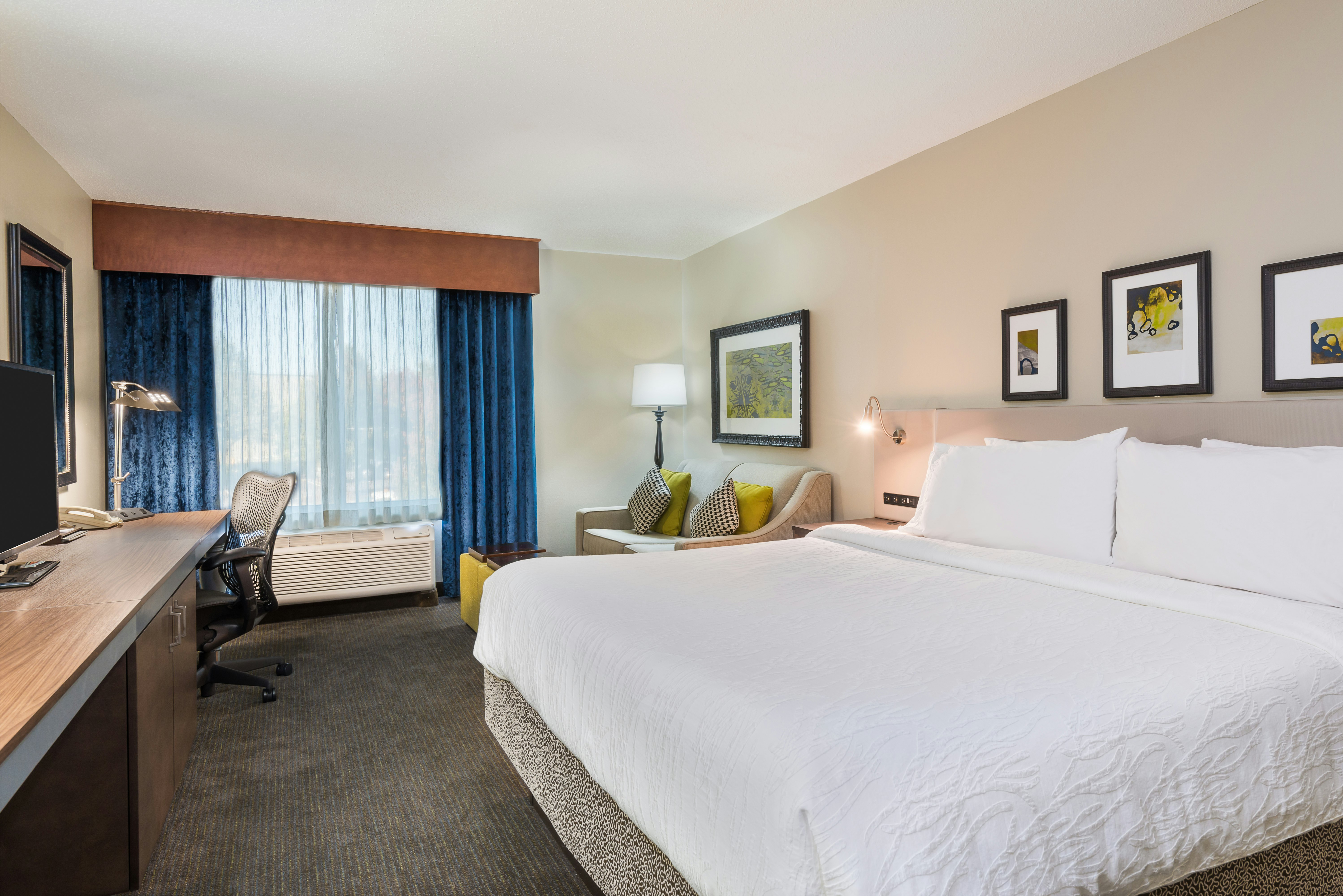 Room, King Bed, Accessible