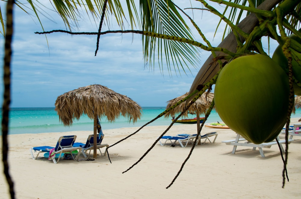 Fun Holiday Beach Resort photo2