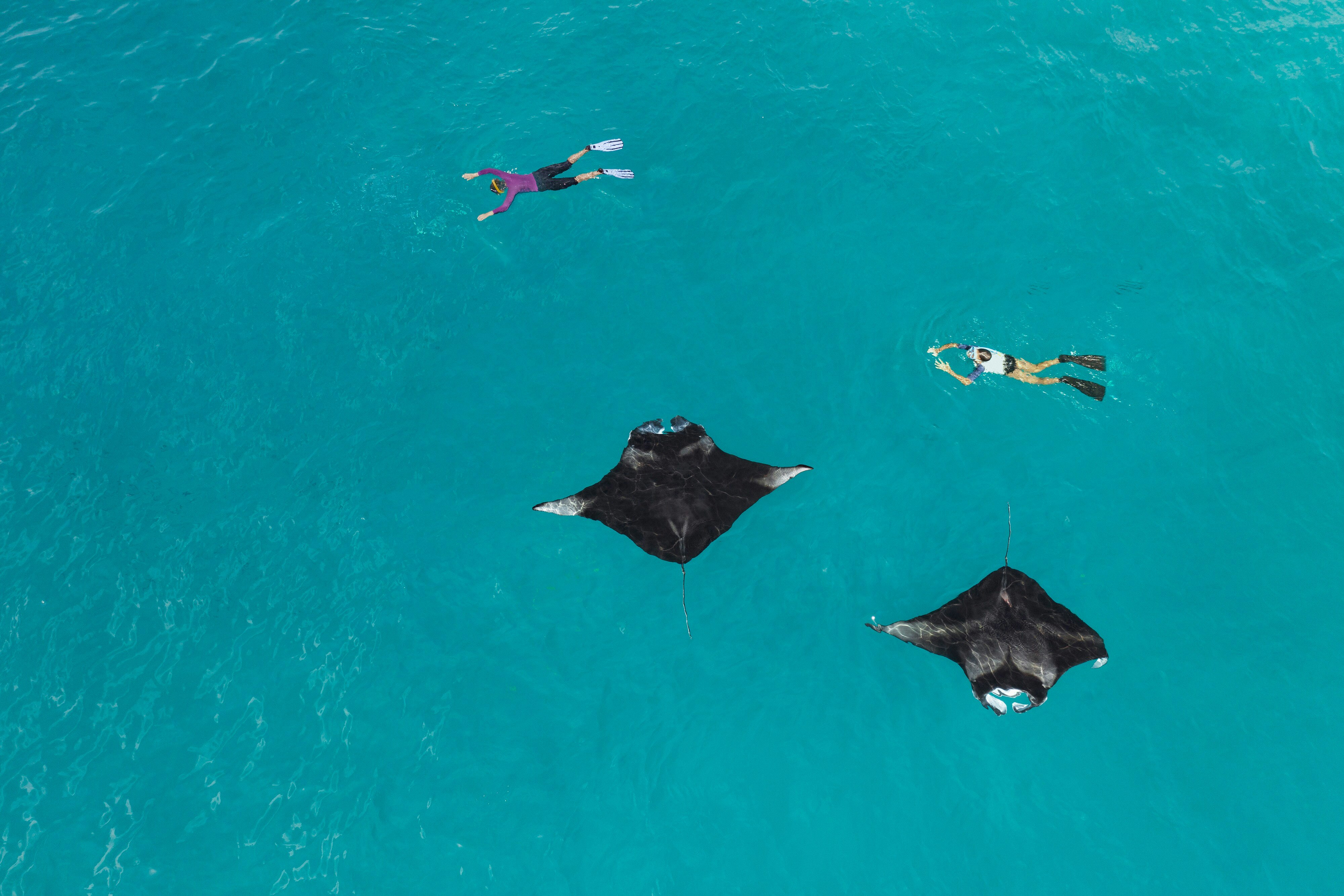 The Westin Maldives Miriandhoo Resort 146/147
