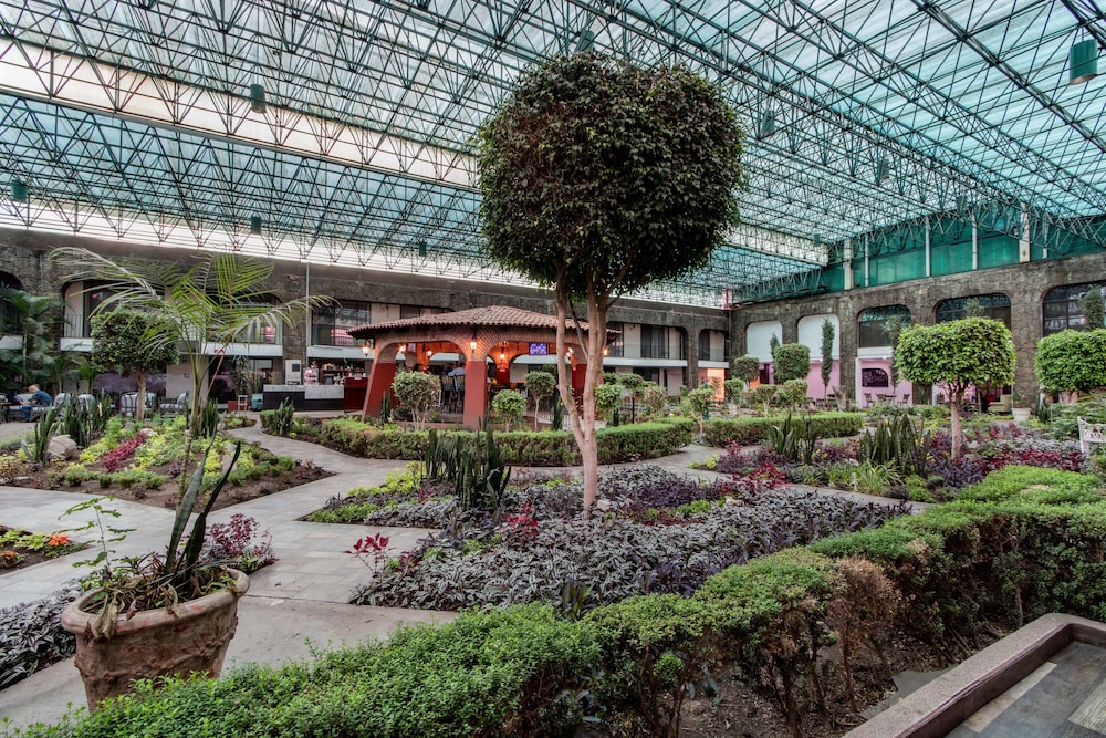 Radisson Hotel & Convention Center Toluca 43/50