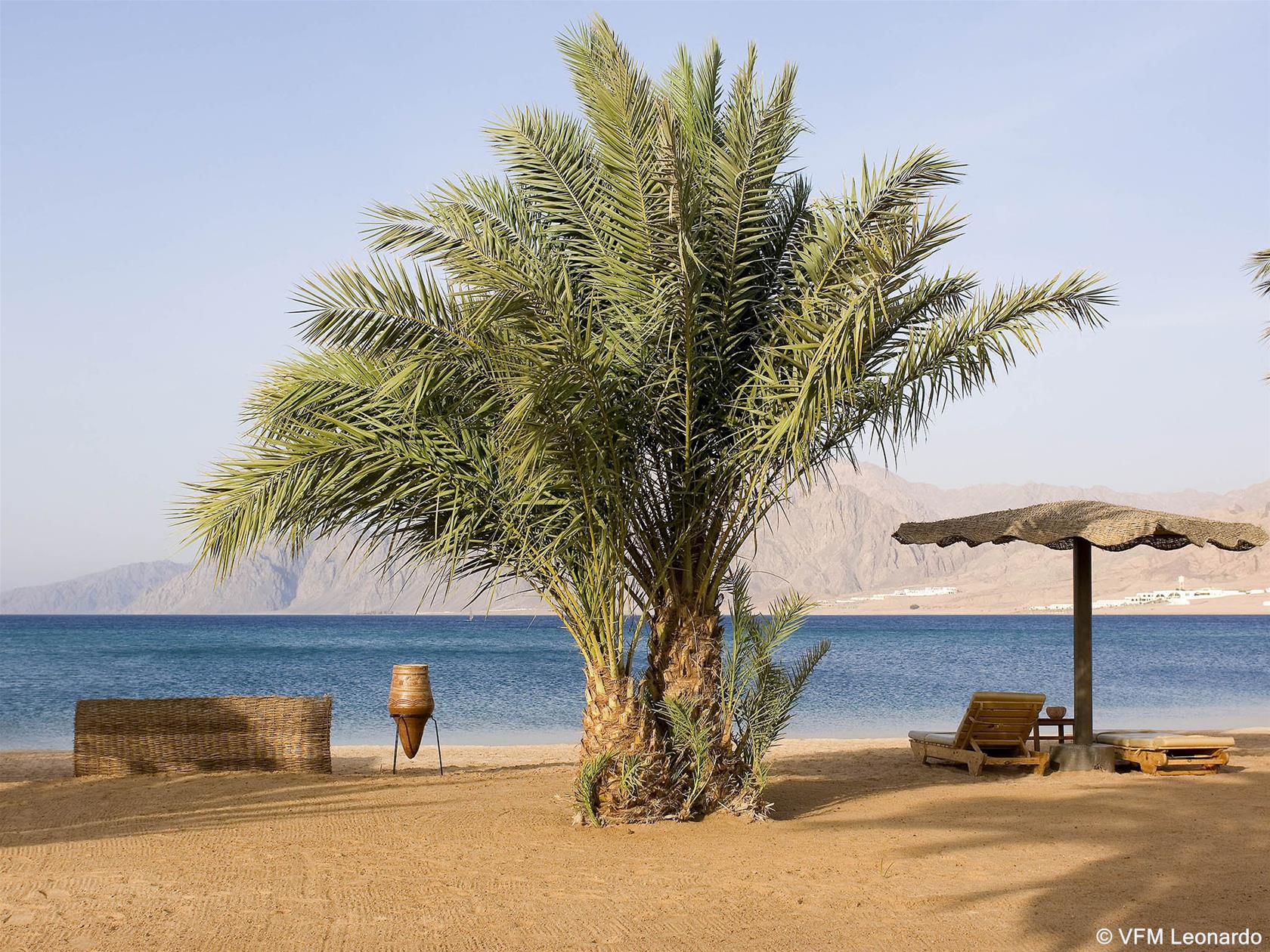 Dahab Lagoon Club and Resort 38/48