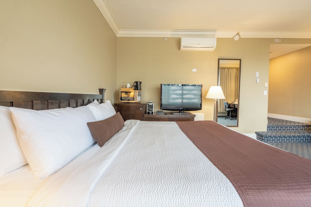 DELUXE, STUDIO, SUITE, TOP FLOOR