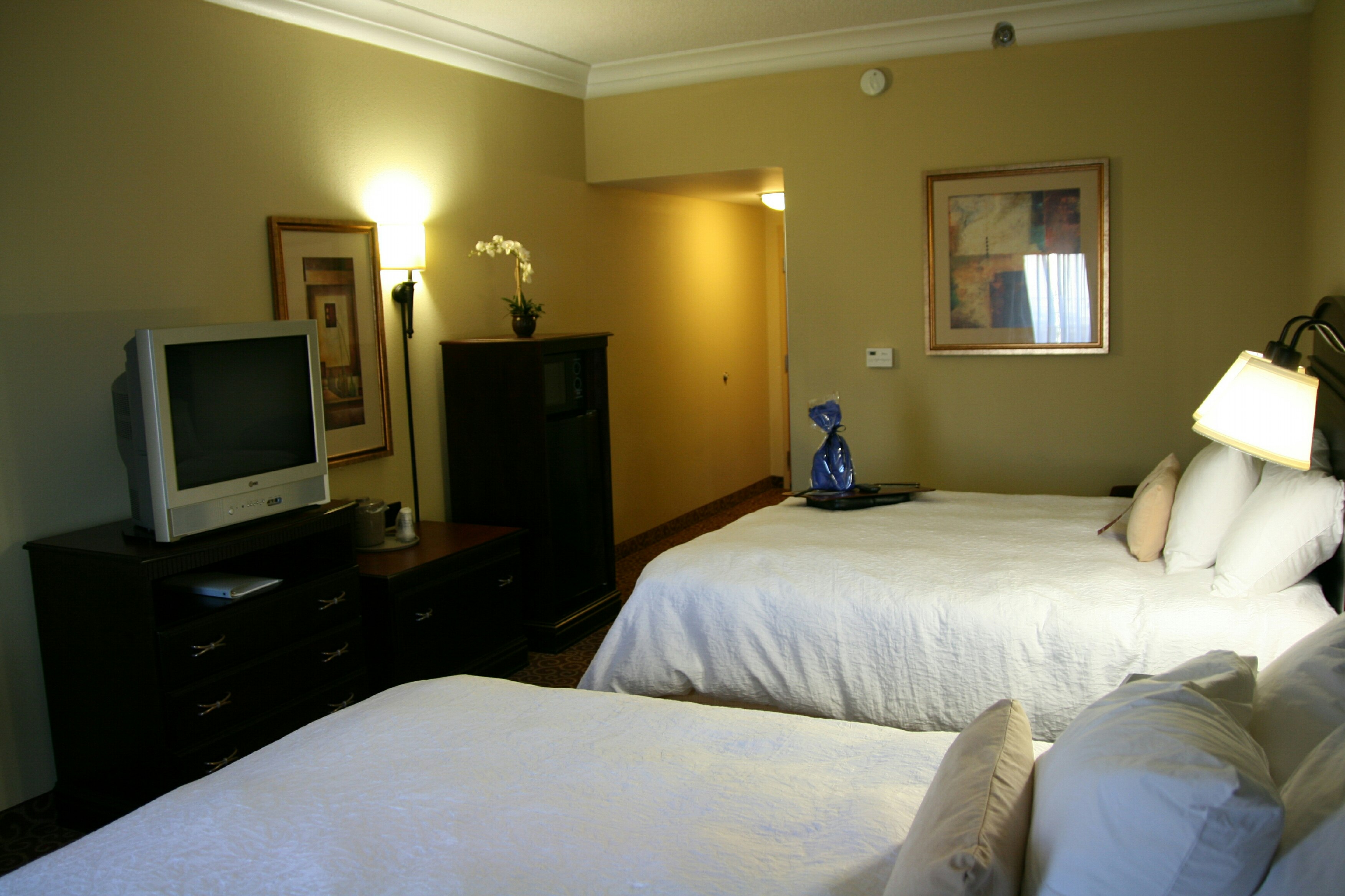 Hampton Inn Vidalia 3/19