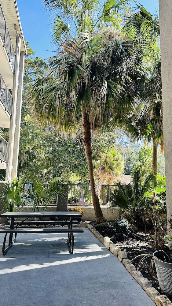 Loyalty Inn Tallahassee 29/48