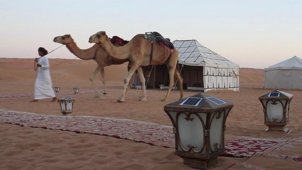 Luxury Desert Camp 40/50