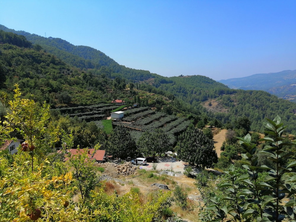 Avena Mountain Boutique Hotel 34/48