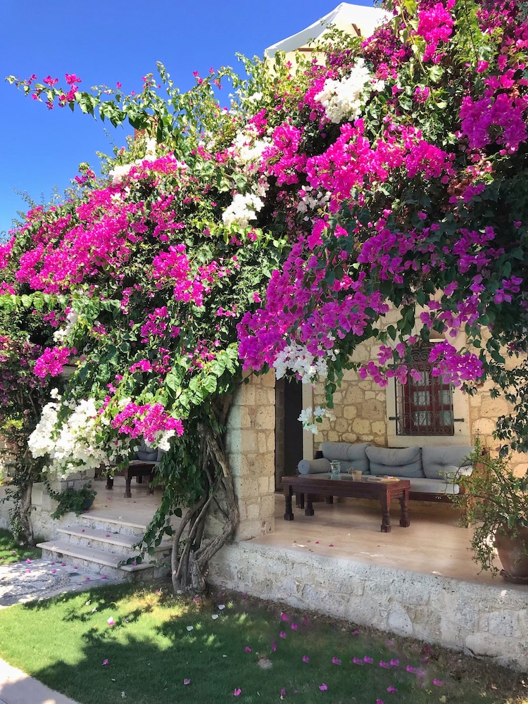 Alacati Zeytin Konak Hotel 41/50