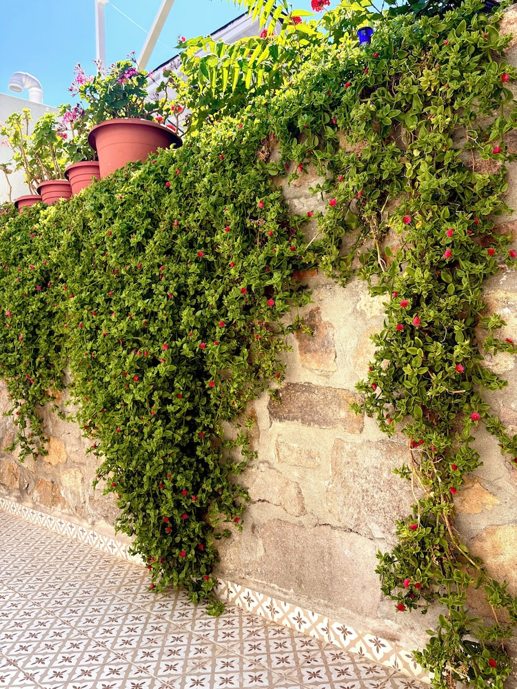 Bozcaada Denizyildizi Otel 41/44