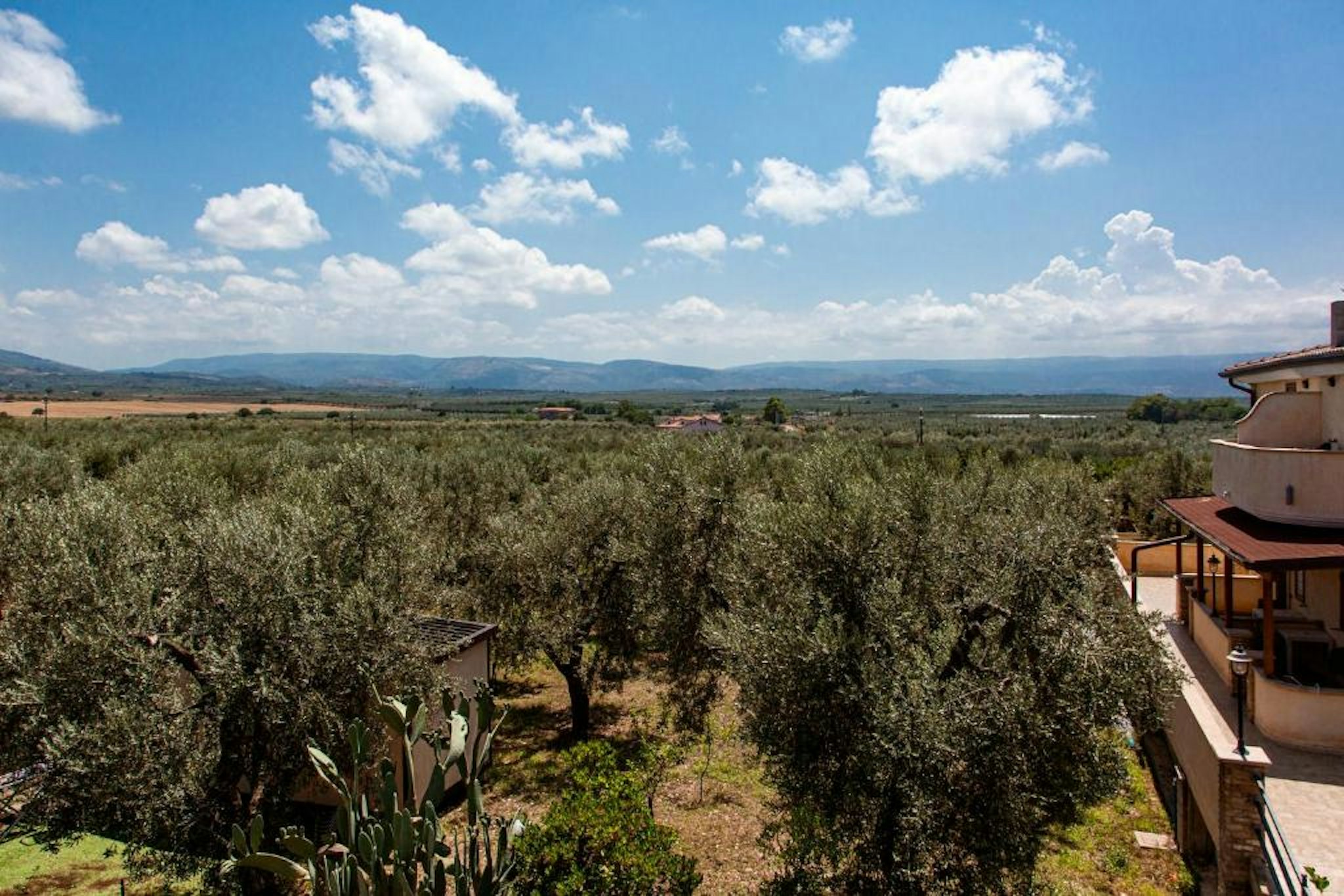 Albergo Il Giardino 18/24