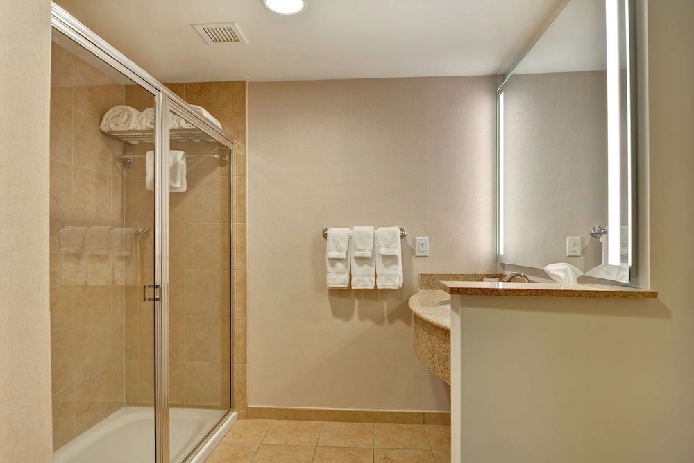 Hilton Garden Inn Lake Buena Vista 29/69