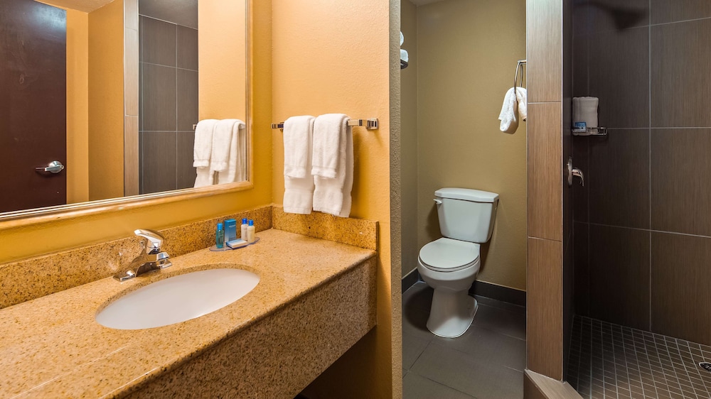 Best Western Plus Atlanta Airport-East 17/33
