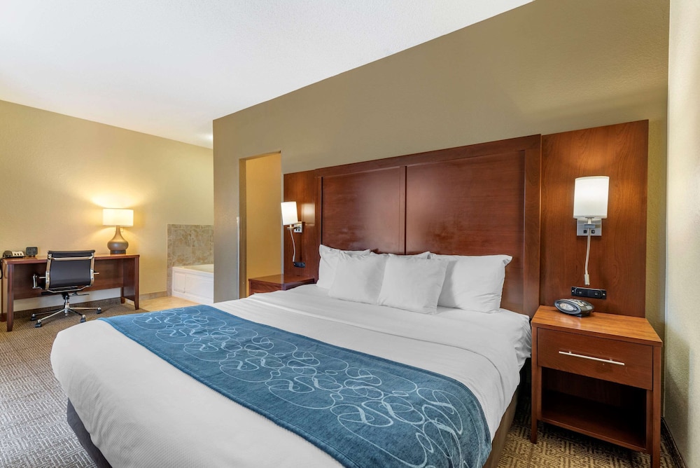 Comfort Suites Castle Rock - Denver South 9/35