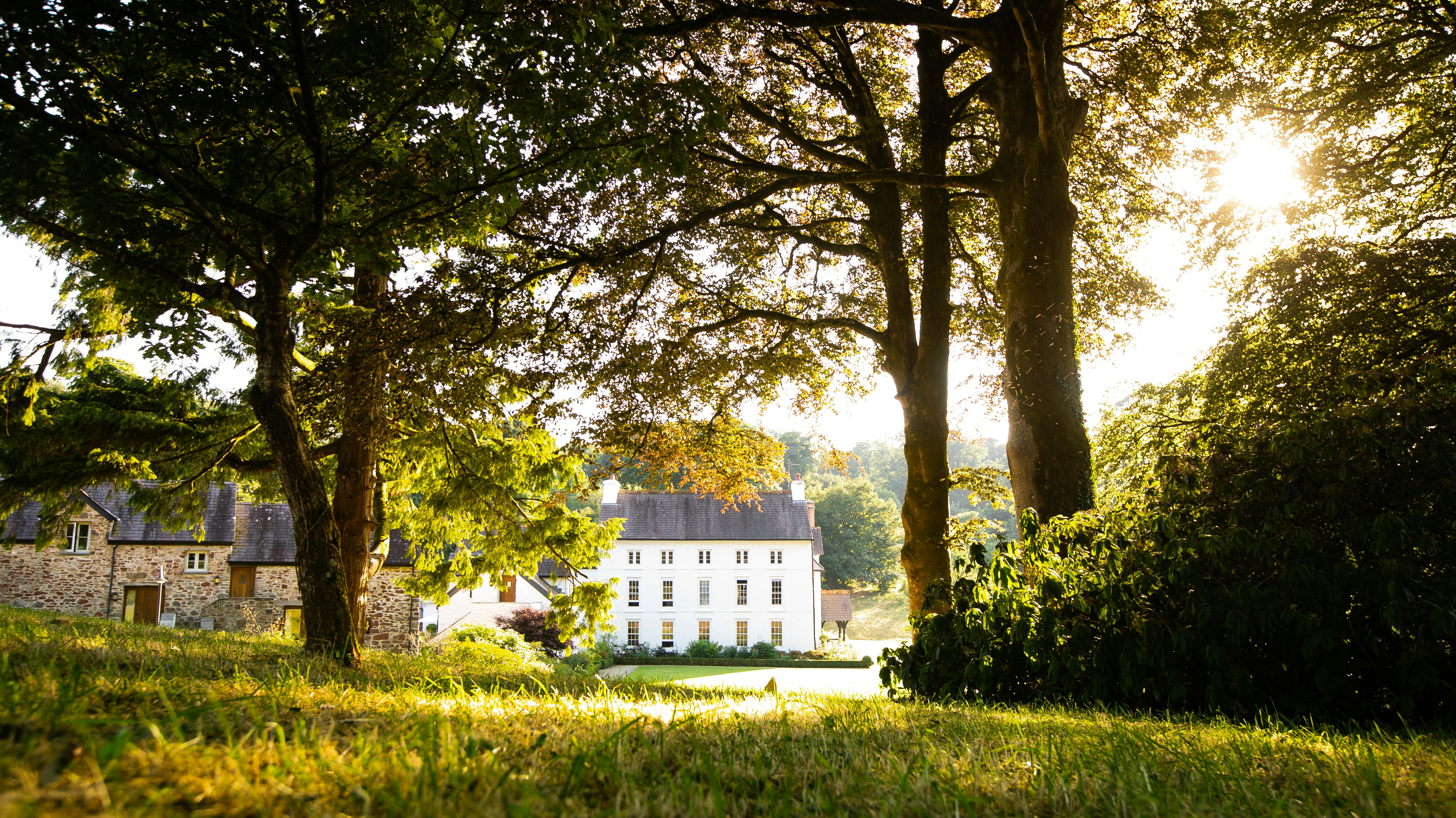 Grove Of Narberth 34/35
