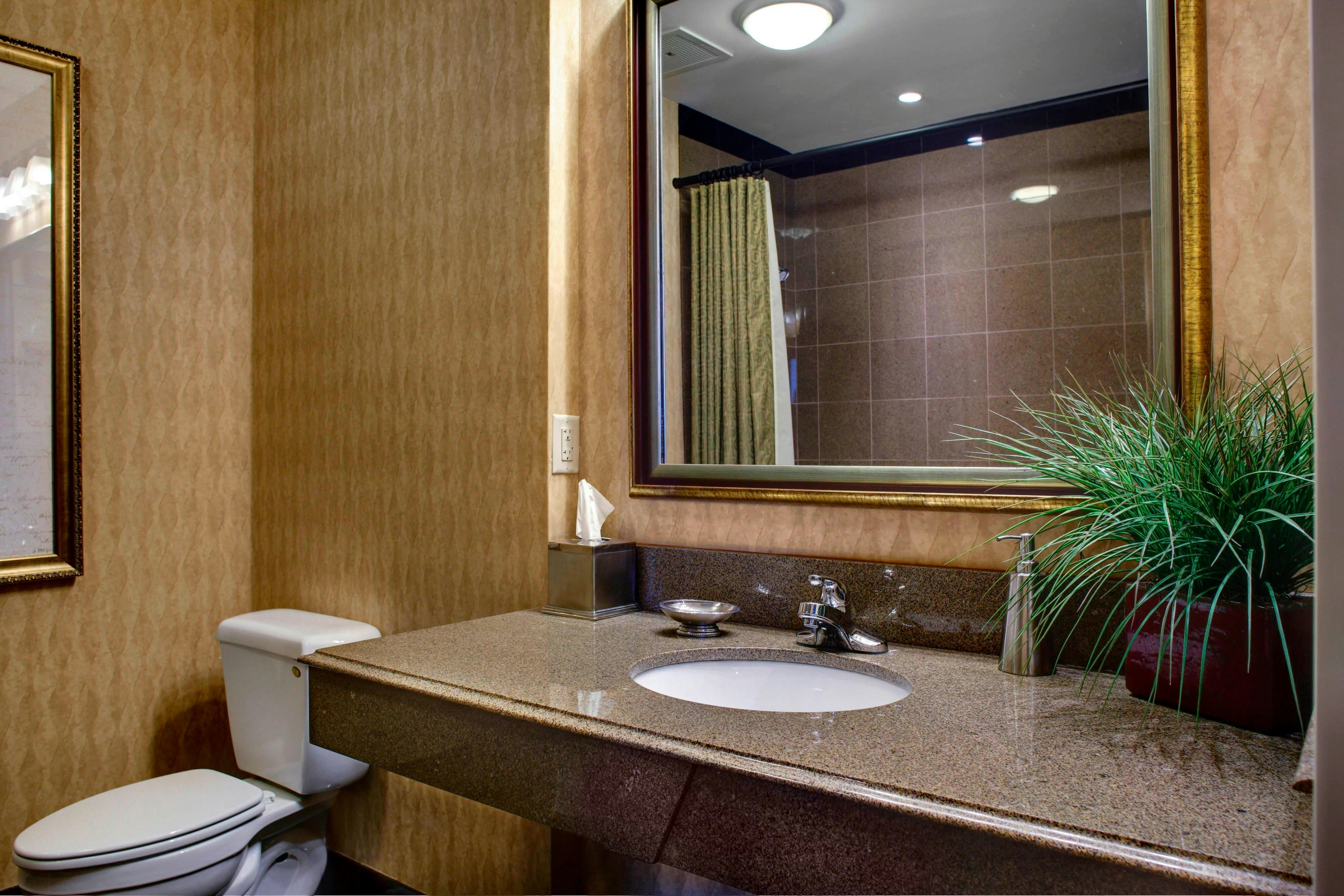 Springhill Suites By Marriott Memphis Downtown 27/32
