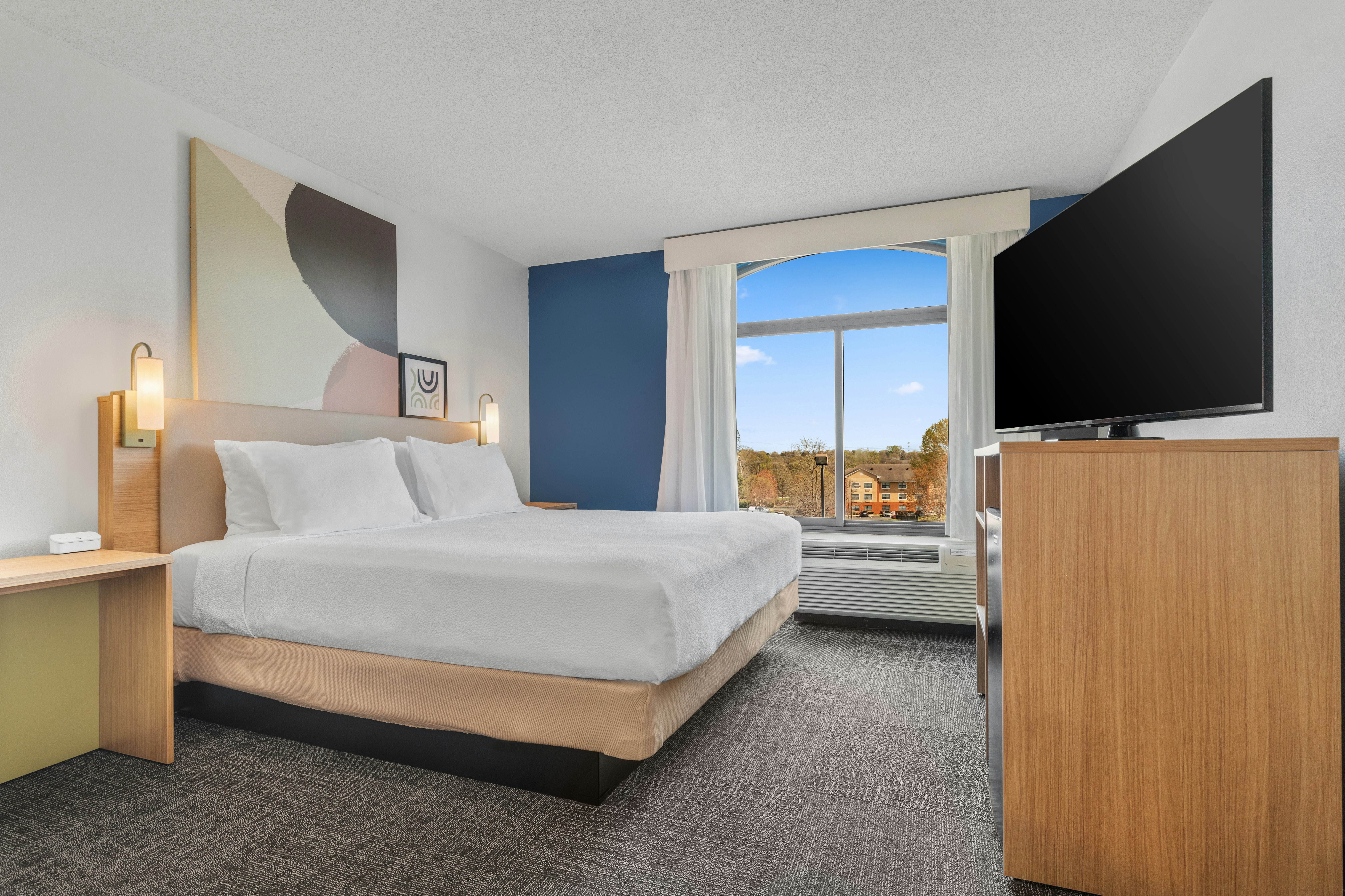 ROOM, KING BED, SOFA