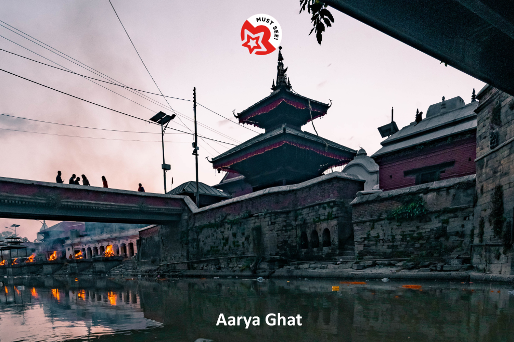 Hotel Pashupati Plaza 46/46