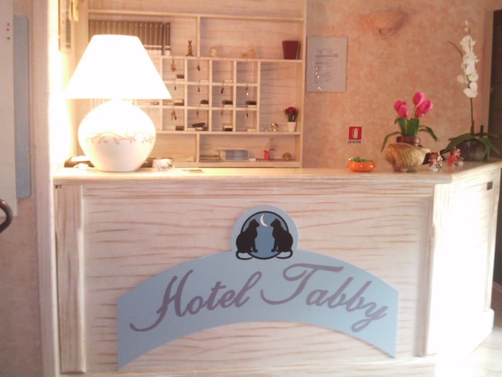 Hotel Tabby 11/31