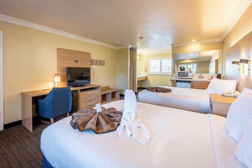 Cayucos Beach Inn 18/64