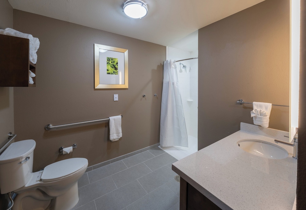 جناح بسرير كينج بغرفة نوم واحدة لذوي الإعاقة، Staybridge Suites Houston East - Baytown 4/4