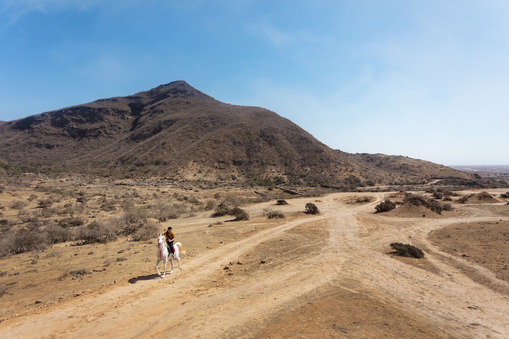 Atana Stay Salalah 18/65