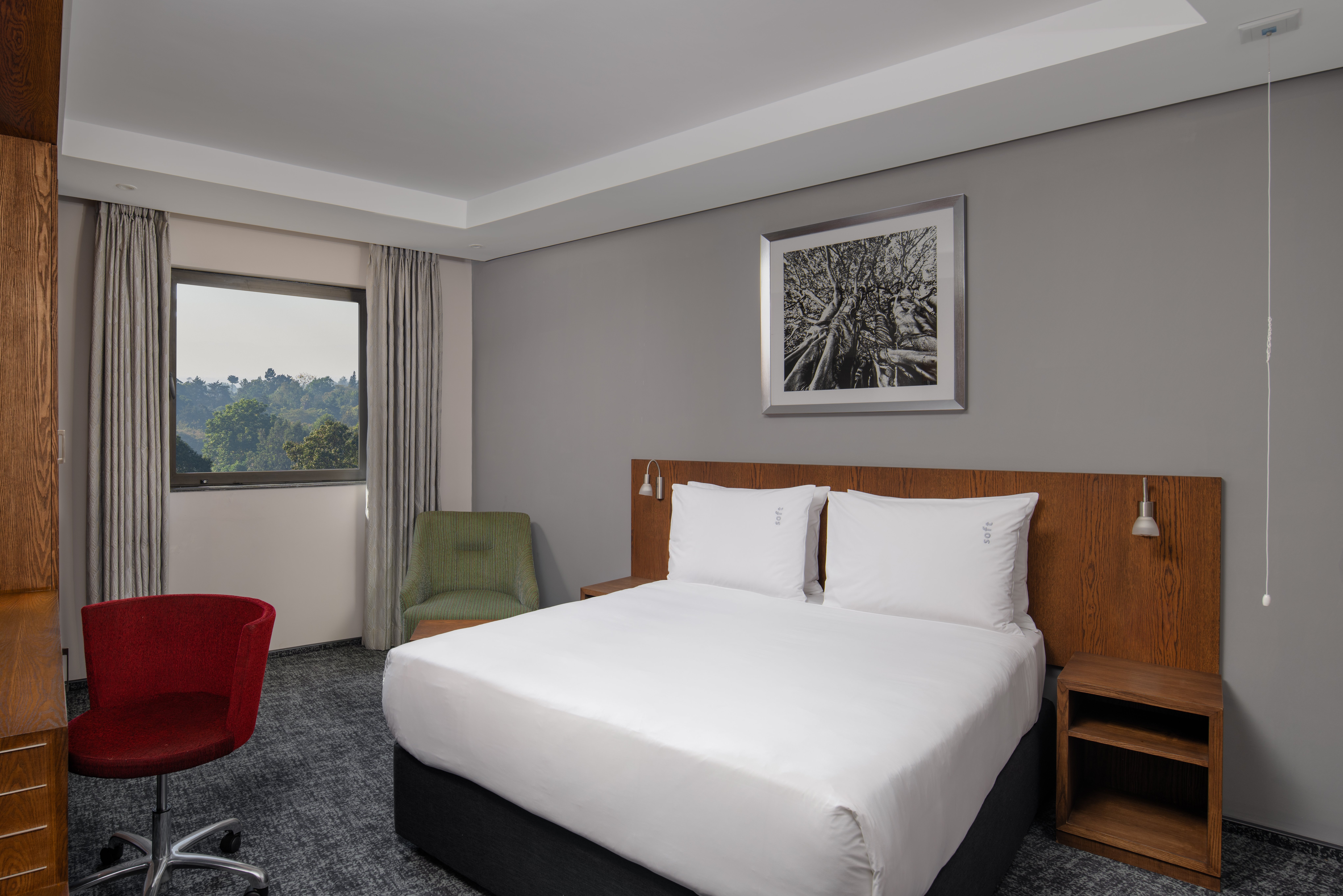Standard, Queen Bed, Forest View