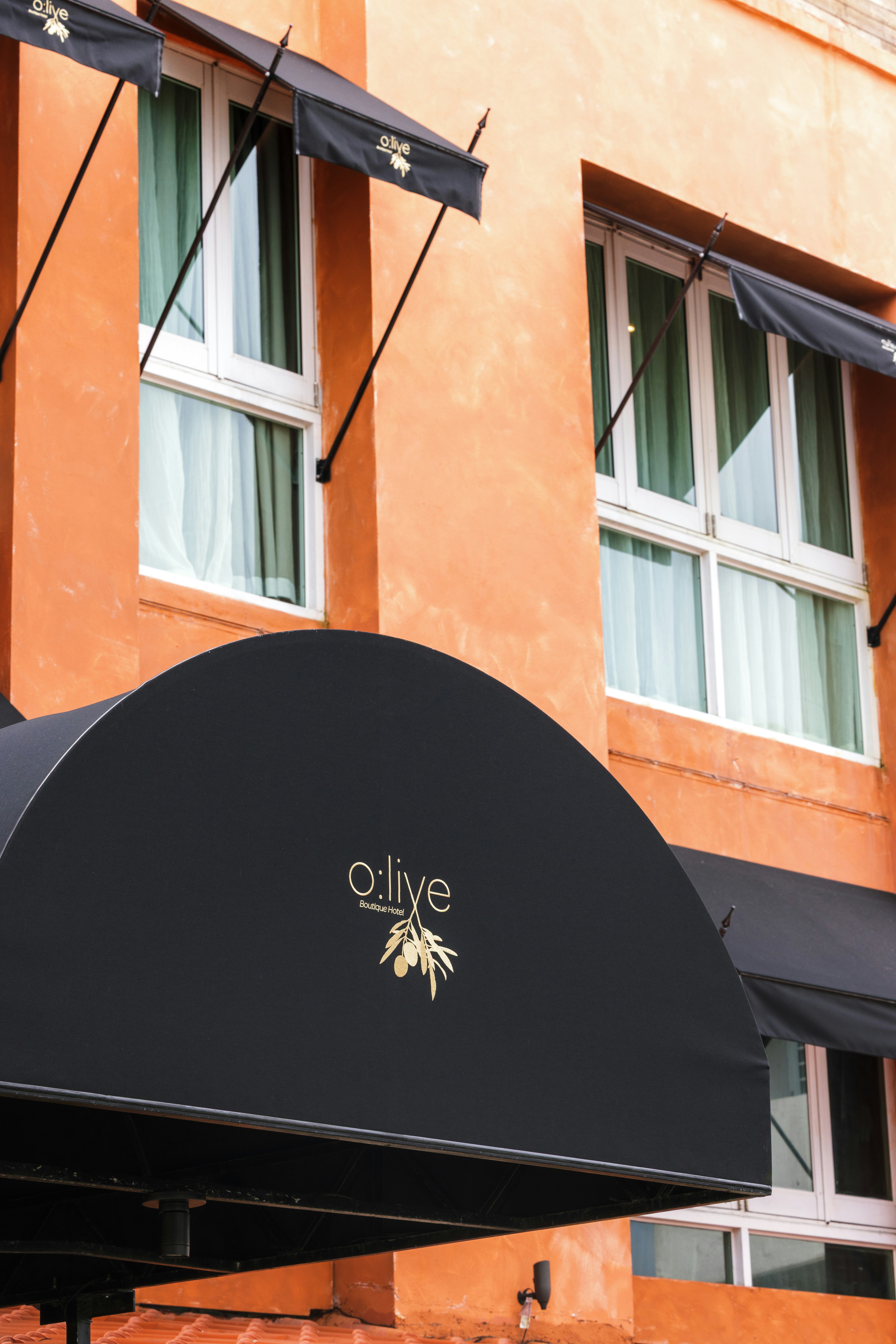 Olive Boutique Hotel 1/46
