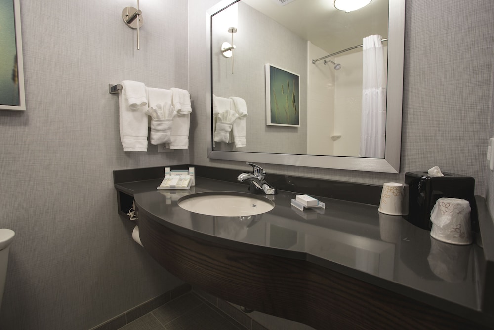 Hilton Garden Inn Bolingbrook I-55 21/79