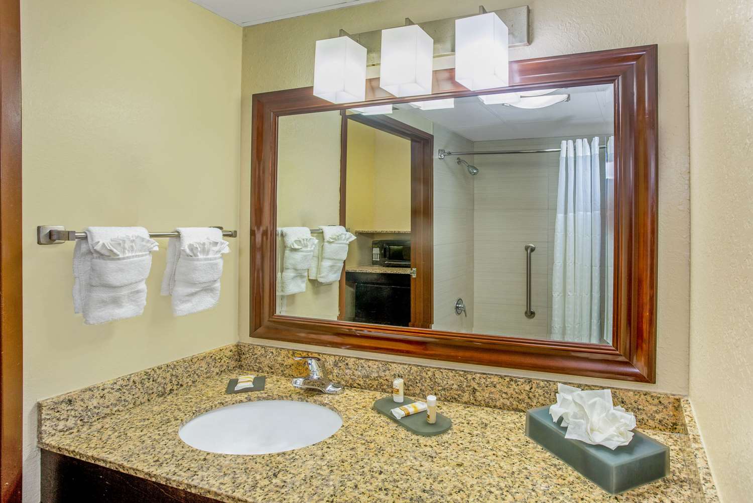 Comfort Inn & Suites Sarasota I75 43/44