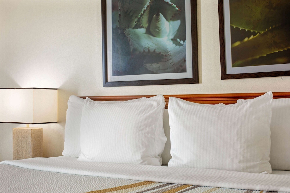 La Quinta Inn & Suites by Wyndham Sawgrass 28/55