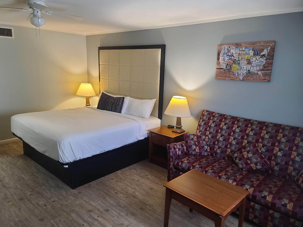 Suite, King Bed, Sofa