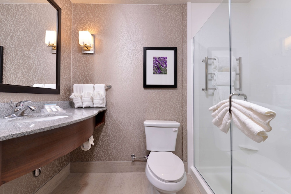 HILTON GARDEN INN HOBBS 15/51