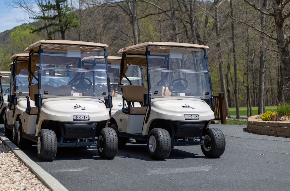 Mountain Villa With Waterpark, Golf, Skiing, Wine Tour Access and More! Massanuttens Shenandoah Vil 42/49