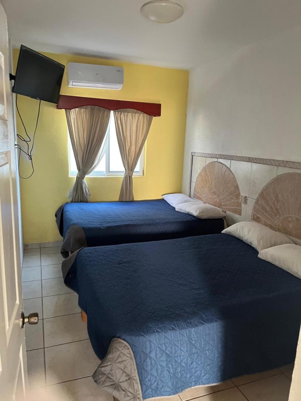 Hotel Albatros Palace 14/24