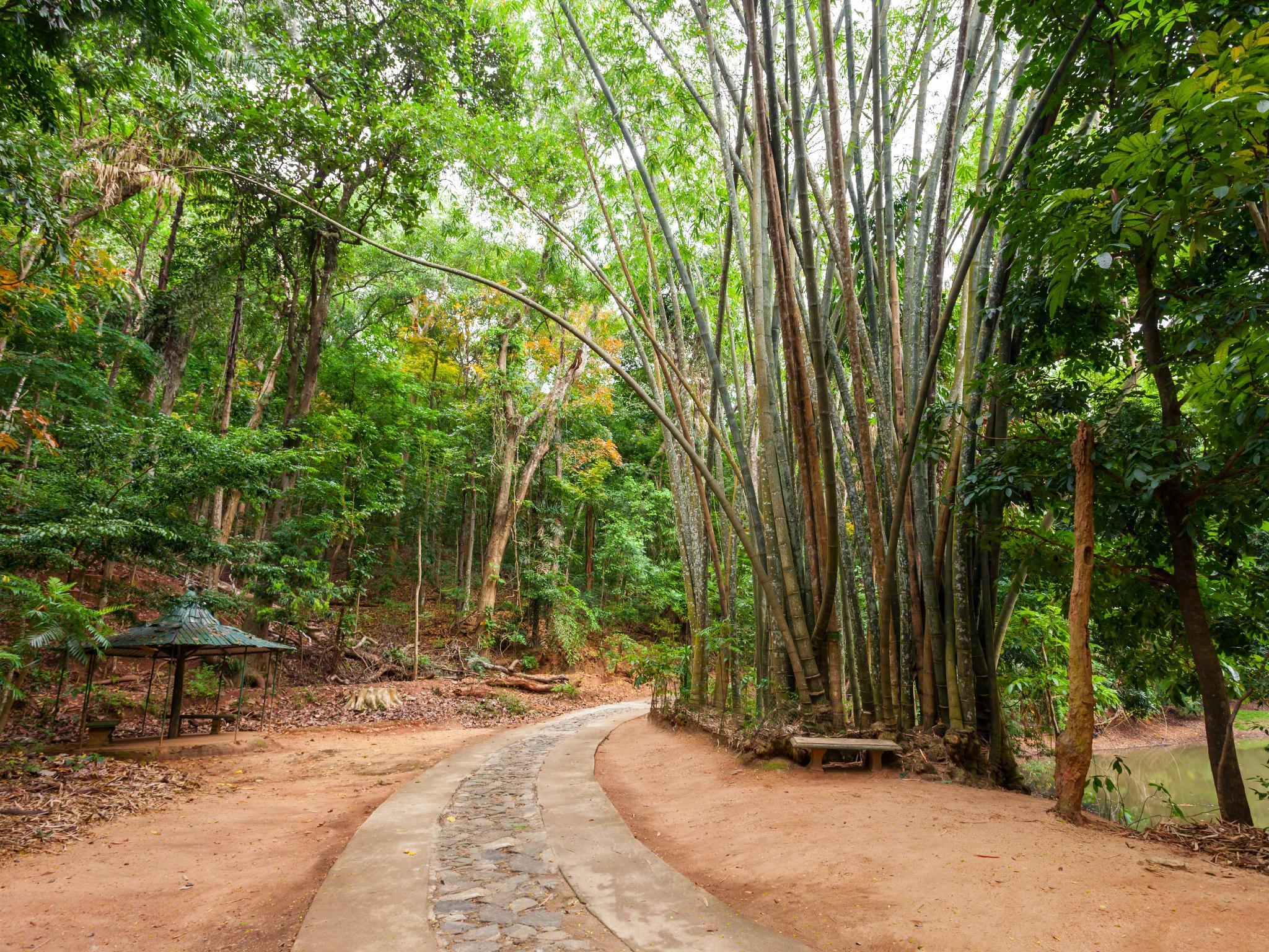 Mount View 11 9/10