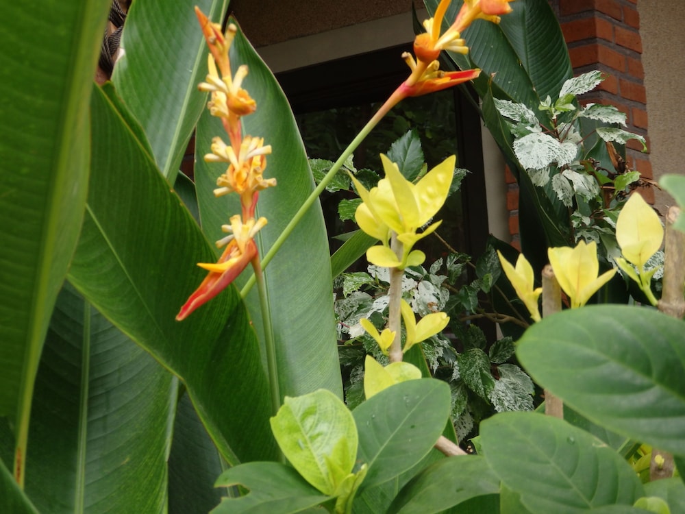 Tirta Sari Bungalows 60/66