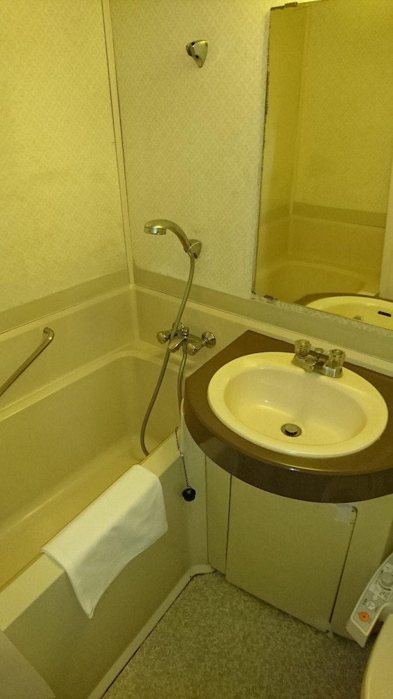 Select Inn Fujisan Gotemba 13/61